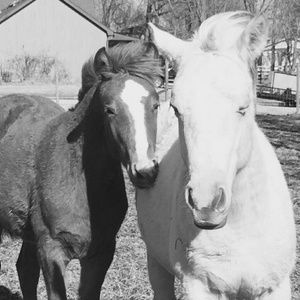 Meet your Posher, Jack