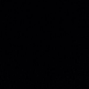 Meet your Posher, Lashonda