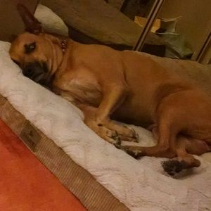 Meet your Posher, Trish