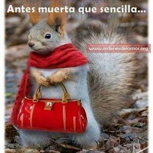 Meet your Posher, Irene