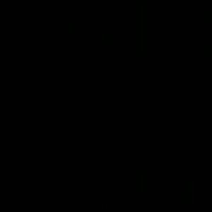 Meet your Posher, Earnestine