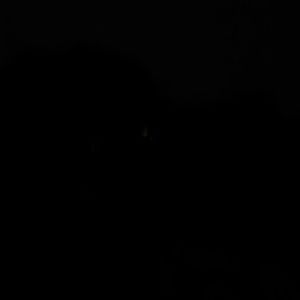 Meet your Posher, Rachelle