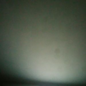 Meet your Posher, Calvin