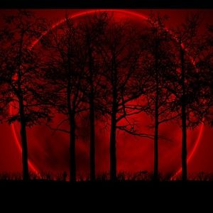 Meet your Posher, Fabiola