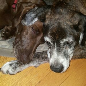 Meet your Posher, Amber