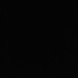 Meet your Posher, Riley