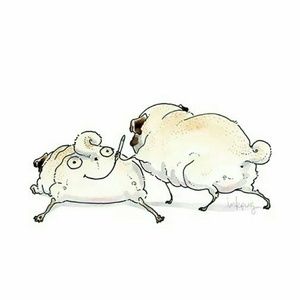 Meet your Posher, Carissa