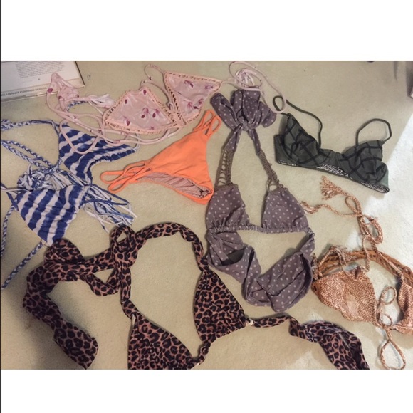 Large/small Acacia for sale/trade