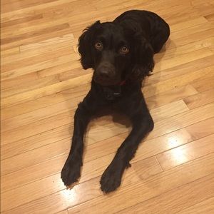 Meet your Posher, Amanda