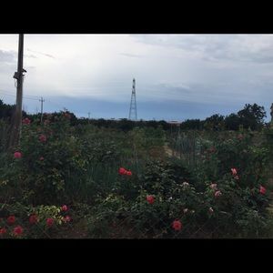 Meet your Posher, Kou