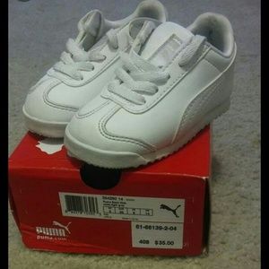 White pumas
