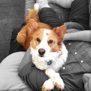 Meet your Posher, Ally