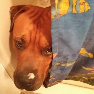 Meet your Posher, Ann