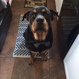 Meet your Posher, Danielle