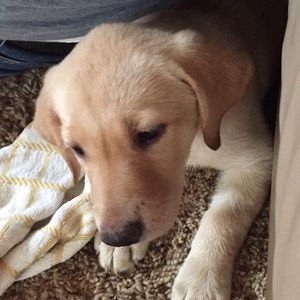 Meet your Posher, Emily