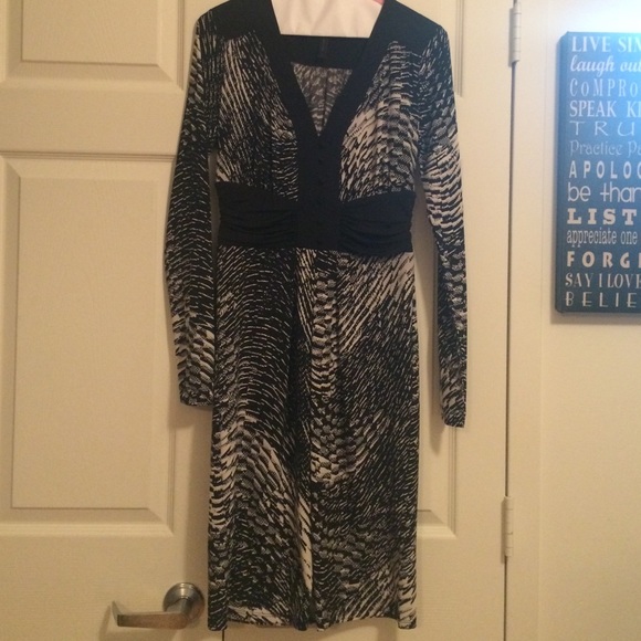 BCBGMAZARIZA Long Sleeve Dress