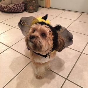 Meet your Posher, Julia