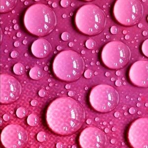 Meet your Posher, Lindsay