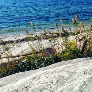 Meet your Posher, Corie