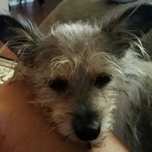 Meet your Posher, Tonya