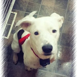 Meet your Posher, Zonia