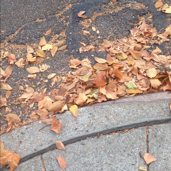 Meet your Posher, Esther