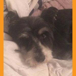 Meet your Posher, Natasha