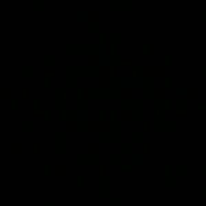 Meet your Posher, Lacey