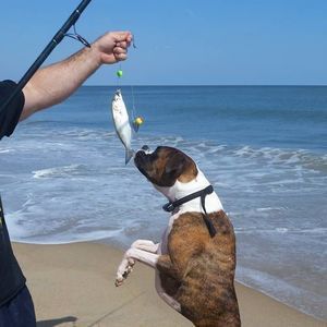 Meet your Posher, Tonya