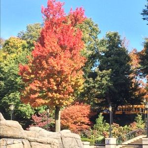 Meet your Posher, Bibi