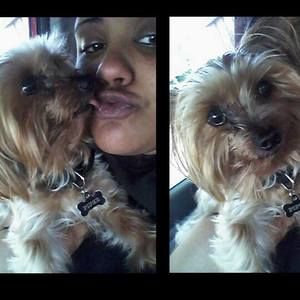 Meet your Posher, Loren