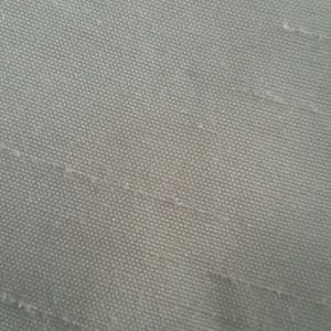 Meet your Posher, Antisha