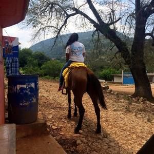 Meet your Posher, Maria