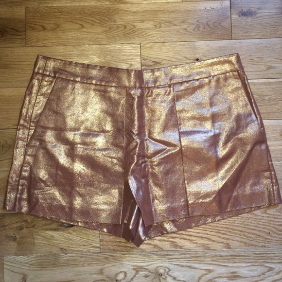 J.Crew Metallic Foulard Shorts BRAND NEW