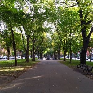 Meet your Posher, Faye