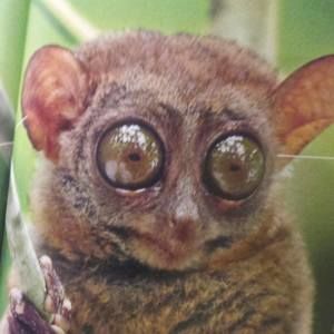 Meet your Posher, Larry