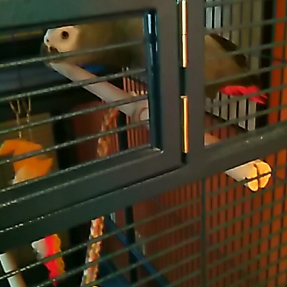 Meet your Posher, Valeria - Picture 1 of 1