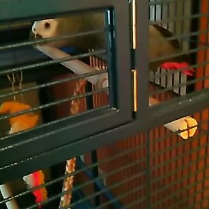 Meet your Posher, Valeria