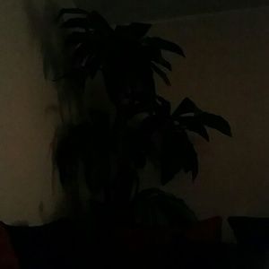 Meet your Posher, Cyn