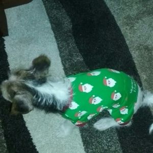 Meet your Posher, Beatriz