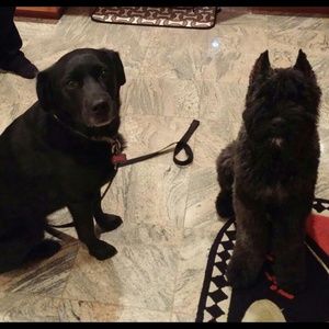 Meet your Posher, Jenn