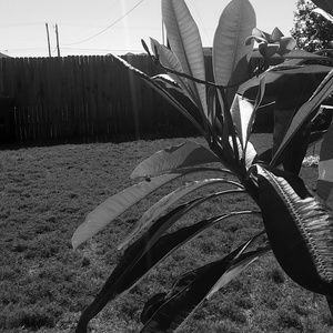 Meet your Posher, Sabrina