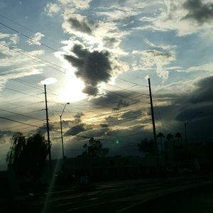 Meet your Posher, Daisy