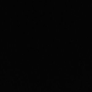 Meet your Posher, Abbi