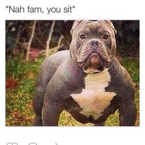 Meet your Posher, Kendrick