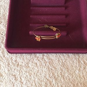 Alex and Ani bracelet