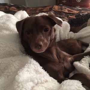 Meet your Posher, Anna