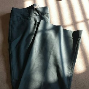 The Limited dress pants