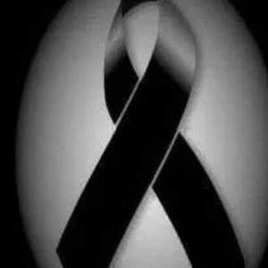 Meet your Posher, Sarahi