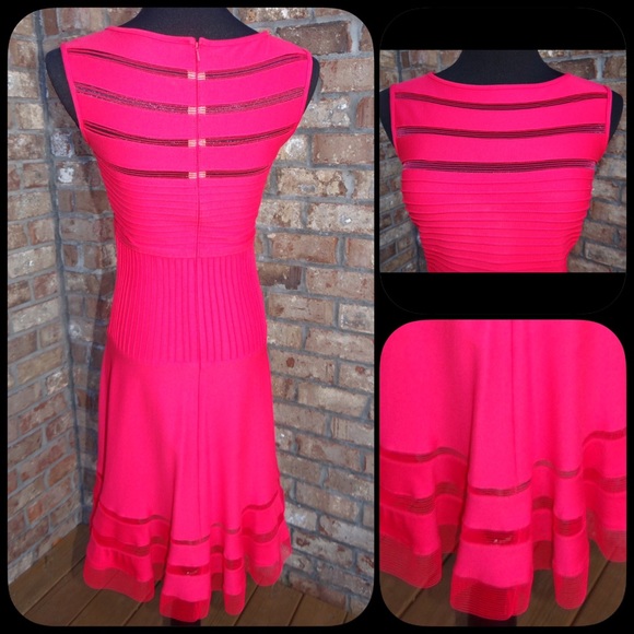 ‼️️HOLIDAY SALE‼️Mesh Stripe Fit and Flare Dress. New. - Picture 2 of 2